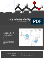 Biosintesis de Lipidos