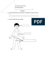 Evaluación Segundo Periodo