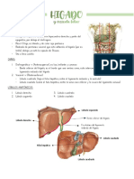 Hígado y Vesicula PDF