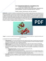 Práctica 9. Reaccion en Cadena de La Polimerasa (PCR) PDF