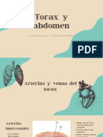 Torax y Abdomen PDF