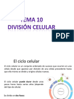 T 10 División Celular