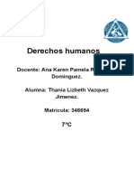 Proyecto Derechos H