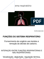 Sistema Respiratório PDF