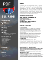 CV - Zul Padli 2 PDF