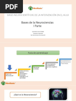 1.1 Bases de La Neurociencias PDF