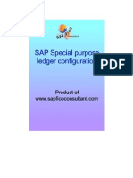 Special Purpose Ledger Config