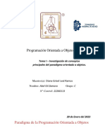 Investigacion Poo PDF