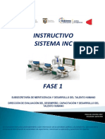 Instructivo Fase 1 Sistema Inc FINAL 02.09.2021 PDF