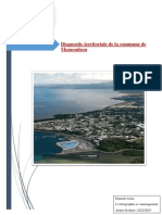 Dossier Diagnostic Hamadi Asma L3 Géographie PDF