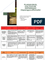 Plagas en Cultivo de Espárrago PDF