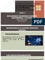 Mecanismos Neurobiologicos de Reocmpensa y Placer