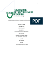 Proyecto Final PDF