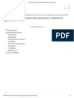 Pico de Las Aves y Sus Adaptaciones, Generalistas y Especialistas PDF