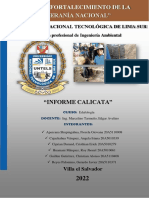 Informe Calicata