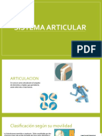 Sistema Articular