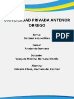 Guía Práctica #2. Sistema Esquelético PDF