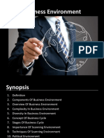 Project Business Environment 1 PDF