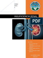 Insuficiencia Renal