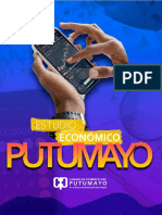 Estudio Economico Putumayo 2021 RH PDF