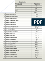 Radicales Casinos P-E PDF