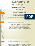 Factor Antropologico