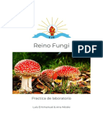 Reino Fungi