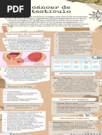 CANCER DE TESTICULO Infografia PDF