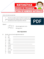 Lectura y Escritura de Numeros Naturales para Tercero de Primaria