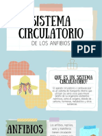 Sistema Circulatorio PDF