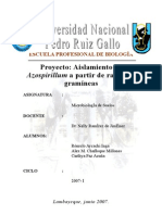 Proyecto: Aislamiento de Azospirillum A Partir de Raíces de Gramíneas