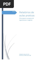 Relatorio de Aulas Praticas Dalila PDF