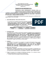 TDR Responsable Tecnico.72031