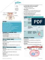 Endocrine System Transes PDF