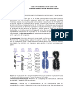 Conceptos Básicos de Genética