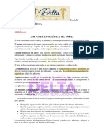 PROPEDÈUTICA RESUMEN - Bloque2 PDF