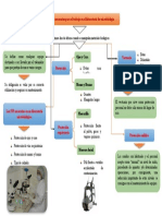 Objetivo 4 - Conocer Los EPI Necesarios para El Trabajo en El Laboratorio de Microbiología