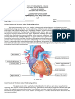 Laboratory Worksheet 12 Heart Structure and Function