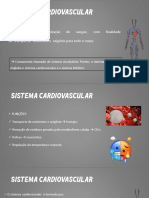 ANATOMIA Coração PDF