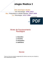 Aula III Nivel de Funcionamento Psicológico PDF