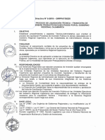 Directiva N 5-2019-Grppat-Sgdi