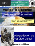 Biodegradación de Petróleo Diesel - PRESENTACION