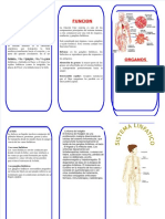 Dokumen - Tips - Sistema Linf Triptico