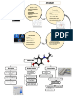 Paracetamol y Metamizol