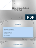 Bases de La Rehabilitación Vestibular