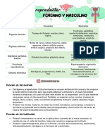 Guias Completa - Practica 3 - Serenfermerxs