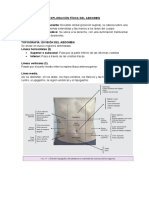 Exploración Física Del Abdomen