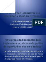 La Propiedad Horizontal y La Seguridad y Salud