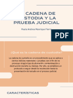 La Cadena de Custodia