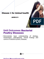 Poultry Diseases - AHVM 211 - 2023 PDF